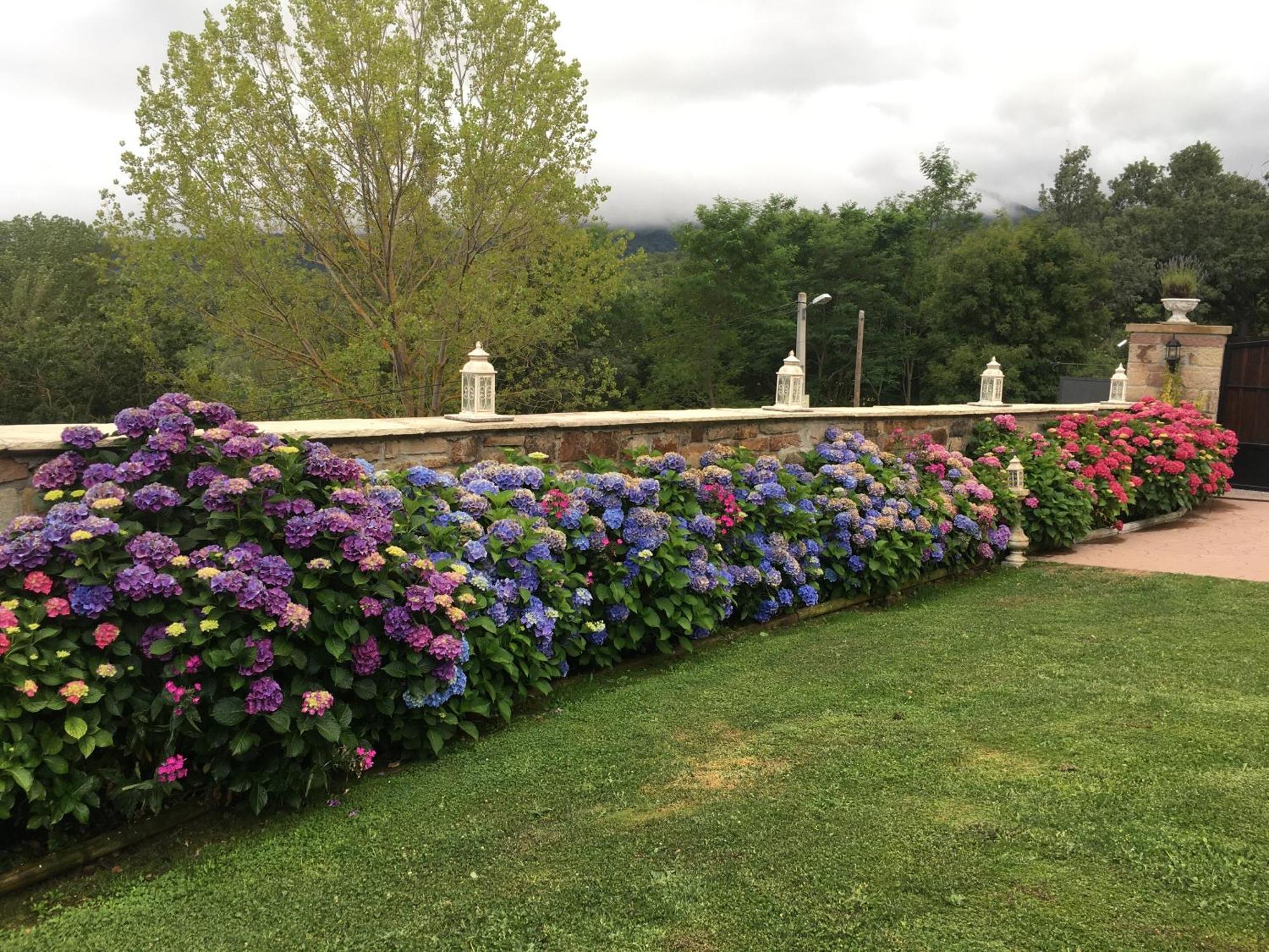 Hotel Villa Liguardi Proano エクステリア 写真
